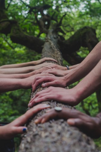Nieuwe leden - unsplash-Shane Rounce